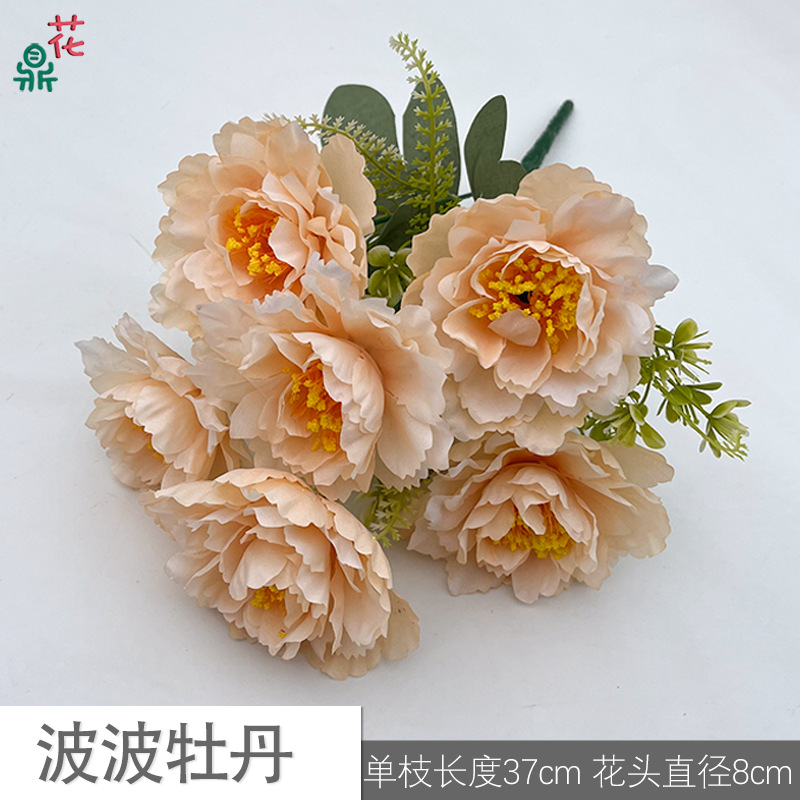 Bobo Peony KXK Champagne