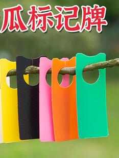 ���������ڷ�ӛ̖�Ƙ�ӛ��ɫ�����Ͽ���ɫ�˺����Ʒ����ɫ