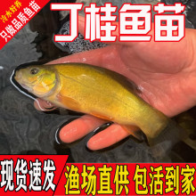 �����~�絭ˮ�Bֳ�^�p�ͻ���ˮ�~�W�޶����~�����~��~�qС�~��