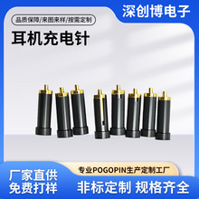 �{�����C���ᘴ��������ᘳ�늌��|�pogopin�B�����A������