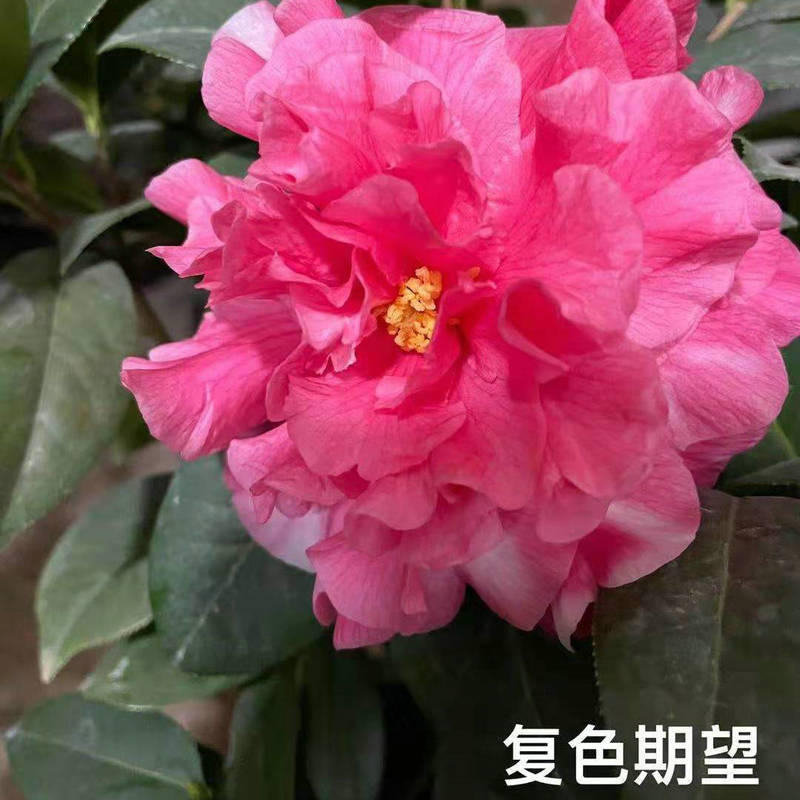 20d9c1ab38c9fffbf1c4814cbd4dd8