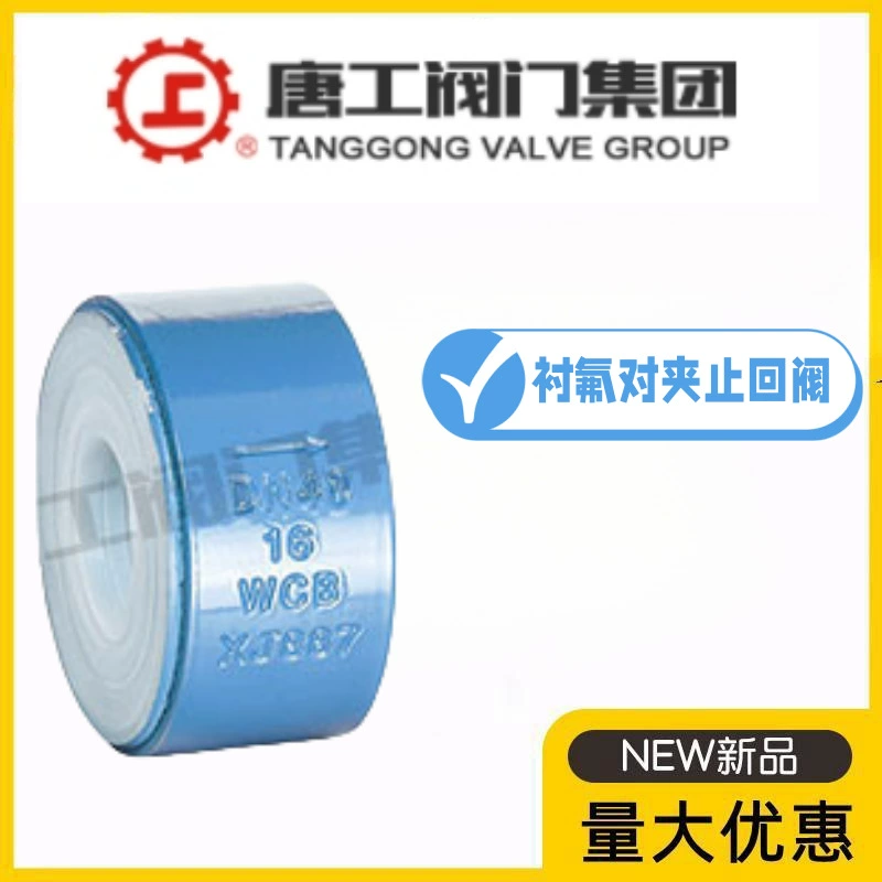 Группа клапанов Tanggong H71F46-10/16C, пружинный обратный клапан из литой стали с PTFE-покрытием, устойчивый к кислотной и щелочной коррозии, химическая промышленность