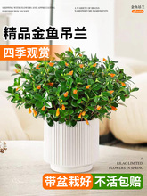 ���~���m���Ԏ�����������~���҃ȿ͏d�f����ֲ����B���ļ����l