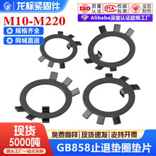 GB858ֹ�ˉ|Ȧֹ�Ӊ|Ȧ��צ�|Ȧֹ�˽��ӈA��ĸֹ�ˉ|ȦM10--M250