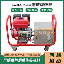 現貨供應SZQ-120泡沫輸轉泵移動滅火消防泵泡沫液添加輸送泵