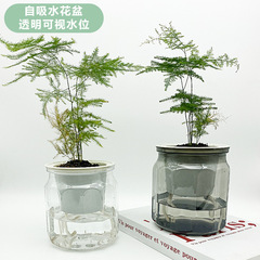 Lazy Self-Watering Transparent Flower Pot: Thickened Plastic Resin Planter with Large Opening—Perfect for Small Indoor Green Plants and Decorative Accents