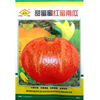 Changfeng sweet red board chestnut pumpkin seed manufacturers wholesale small vegetable garden farm vegetable red pumpkin seed seeds