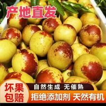 FժFlrrˮ𶬗Դ^Sһl