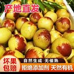 现摘现发新鲜冬枣新鲜水果脆甜冬枣当季青枣整箱源头工厂一件批发