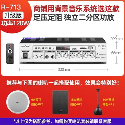 Small Amplifier, FM Modulyator - for-shops-120-watt-silver-bluetooth-two-zone-upgraded-version