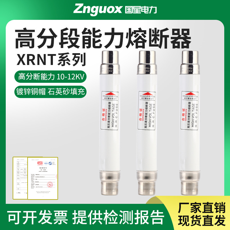 High-Voltage Fuse Sdlaj/Xrnt1-10/12Kv10A20A40A50A63A High Breaking Capacity Current Limiting High-Voltage Fuse Sdlaj/Xrnt1-10/12Kv10A20A40A50A63A High Breaking Capacity Current Limiting