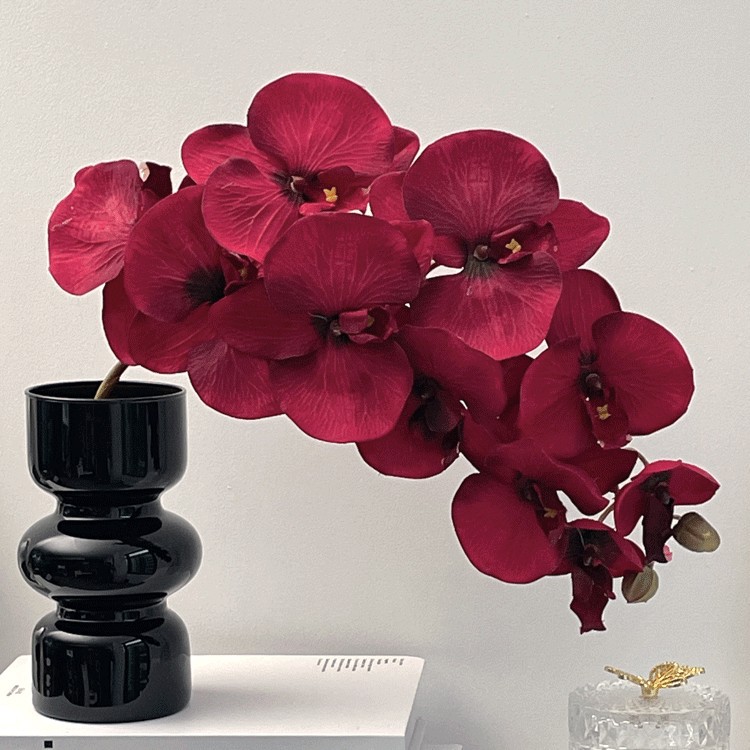 검은색 삼파 꽃병 + 호접란(빨간색) 10개
