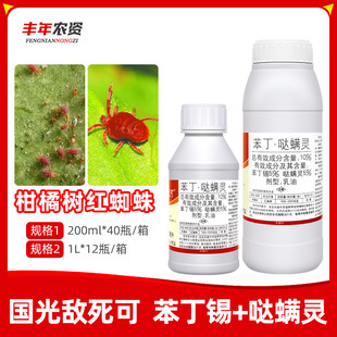 ���┳����10%�����}�\�`���θ��٘�t֩�댣����Ʒ�rș���\��