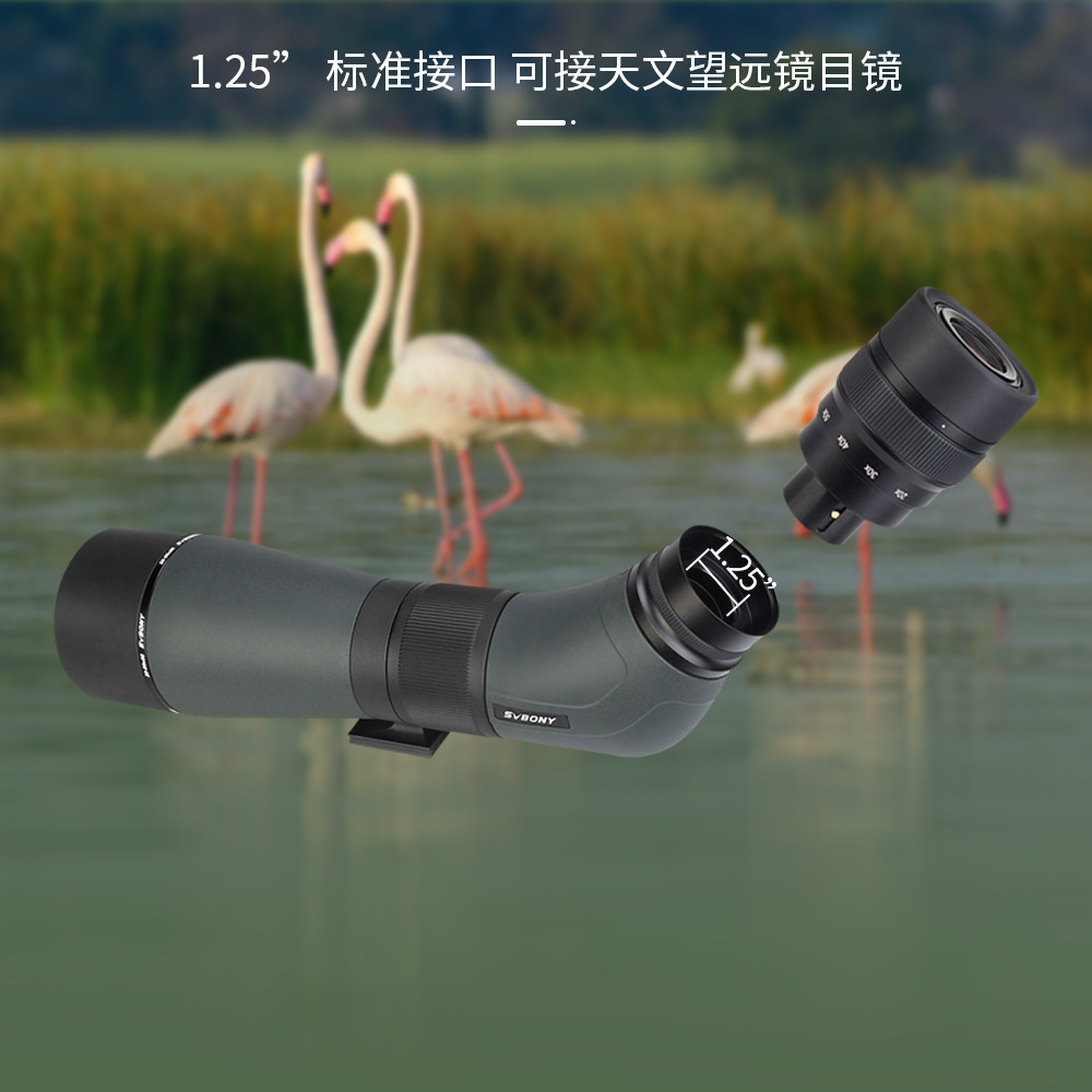 F9383A(SA405)-_05.jpg