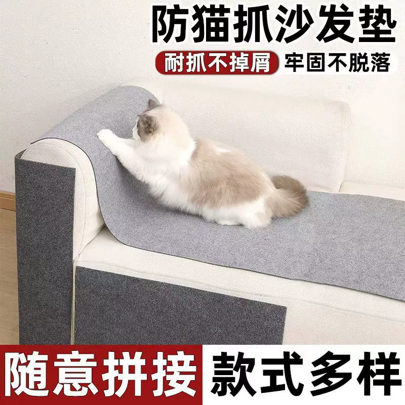 Sofa, protective furniture, transparent protective case, cat