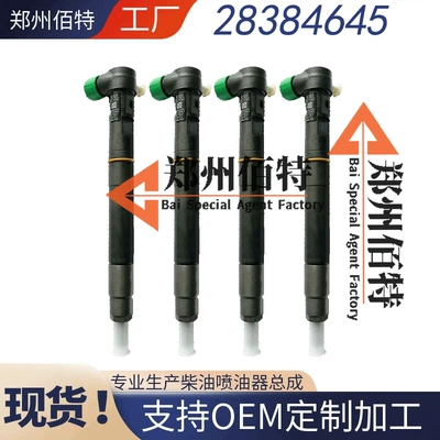 28384645 Common Rail Fuel Injector A6720170021 Is Suitable for Ssangyong D22 Euro 6 (Oil pump, nozzle)
