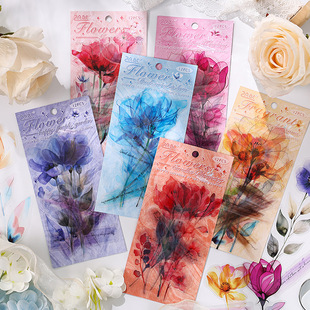 ZABC PET�N�� �o�n���_ϵ�� ���������֎��b��ز�12�� 6��