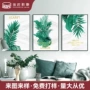 客厅定制组合植物挂画