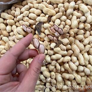 �Ƥ����400g�V�|���T���خa�̸ɻ�����ʳˮ��ɻ����������l