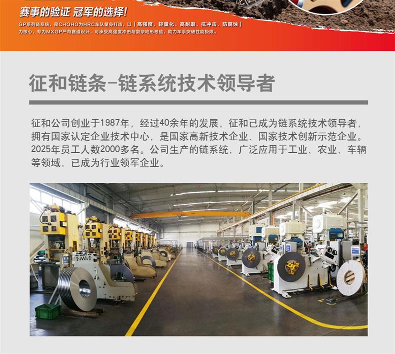 Suitable for Cfmoto 250Nk/Sr/Cl-X Large and Small Sprocket Chain Set, Three-Piece Chain Set with Zhenhe Oil Seal Chain