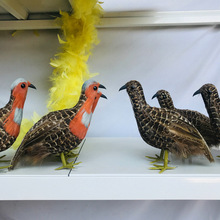 ���񼦶���ģ�Ͷ�ë��Ʒ�ֹ�����Ʒ��ѧ��ʾ��������װ�ΰڼ�