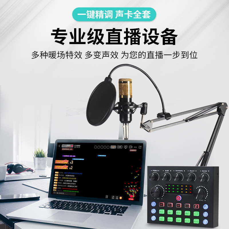 V8 Sound Card Live Broadcast Bluetooth Anchor Recording Karaoke Computer Mobile Phone Electronic Music Voice Changer Special Equipment Full Set of Microphones
