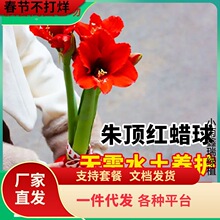 һ�����l��피tϞ���ذ�N���M��Ϟ��o��ˮ���B�o���˺��B��