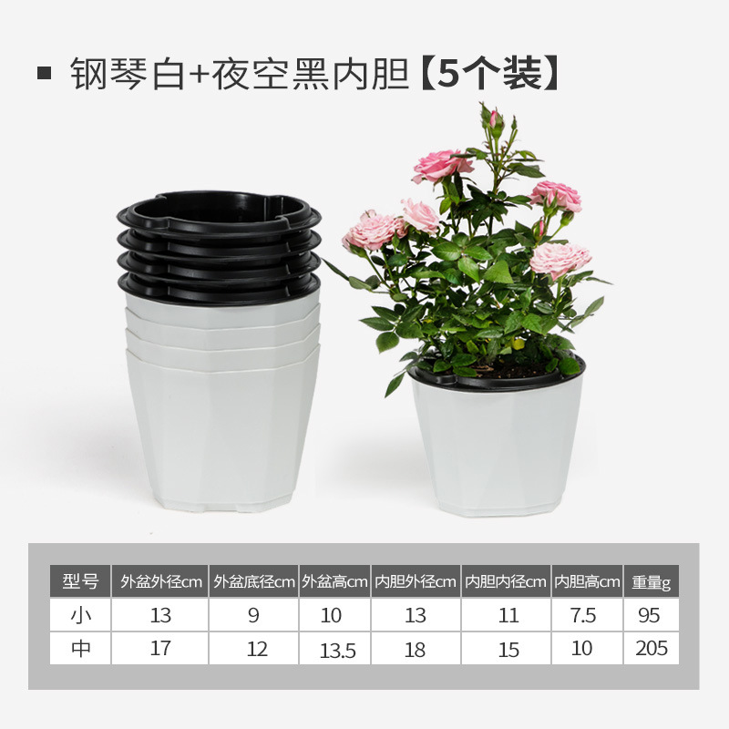 Maceta Hidropónica Autoabsorbente, Transparente, Sin Riego, para Interior