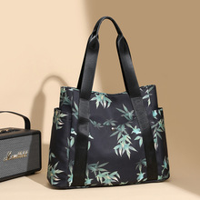 2025�¿�౳��Ůʿ�μ��������������ӡ����������Ů