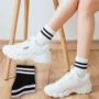 新款秋季学生中筒女袜