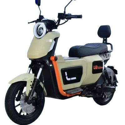 Electric Bicycle Long Range – Elektrikli motosikletlər - olive-naked-bike-400w-without-battery