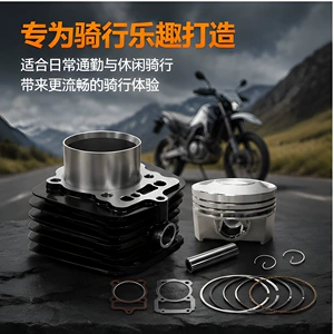 Motorcycle Dm200 Cylinder Piston Kit Italika Rt200 Cylinder Kit 67mm Accessories