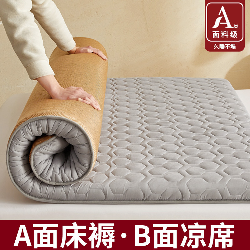 Rattan Mat Double-sided Mattress Cover Cushion Student Dormitory Single Double Rental Special Mat Sleeping Mat Winter and Summer Dual-use
