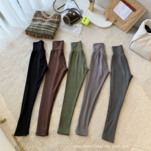 TR超好穿弹力修身打底神裤 秋冬澳绒 the row五色弹力保暖一体裤