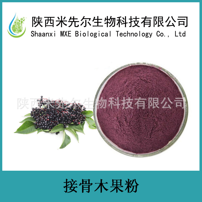 接骨木果粉99% 水溶 花青素 固体饮料代餐粉
