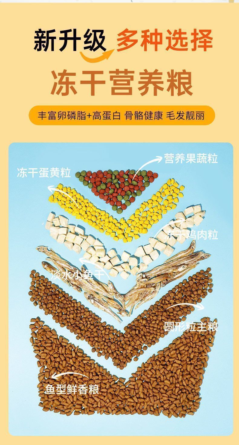 a6a938e0-fd6f-4c20-bd78-b46642251a4e.jpe