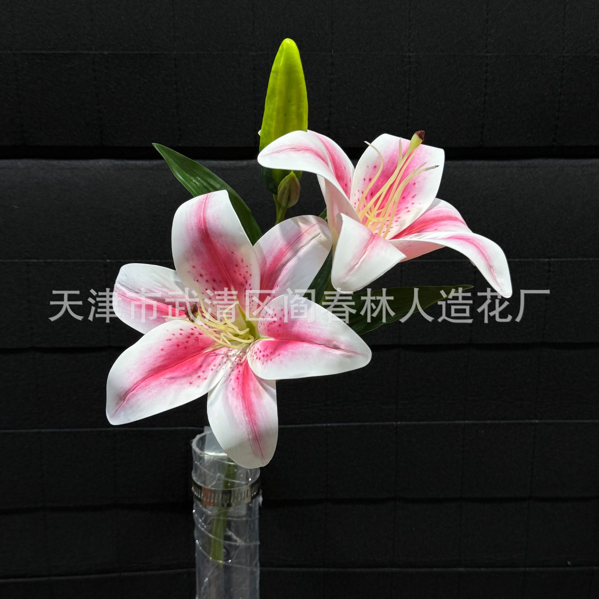 분홍색