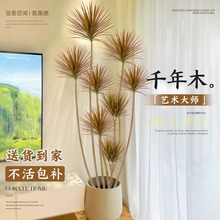 千年木客厅绿植大型植物盆栽造景室内好养七彩铁龙血树落地式真树