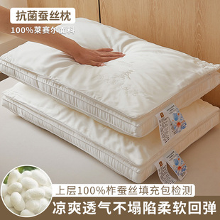 New Class a 100% Silk Pillow Embroidered Tussah Silk Mulberry Silk Soft Rebound Non-Collapse Stereo Multi-Layer Pillow