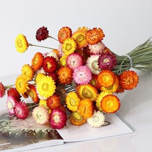 ��ϸɻ��滨�������߲ʾ�С�r�ջ����Ĕz���߿͏d�Ҿ��b[��