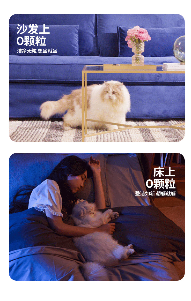 低带出详情-T3_06