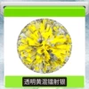 Ring Encrypted Transparent Yellow Mixed Laser Silver