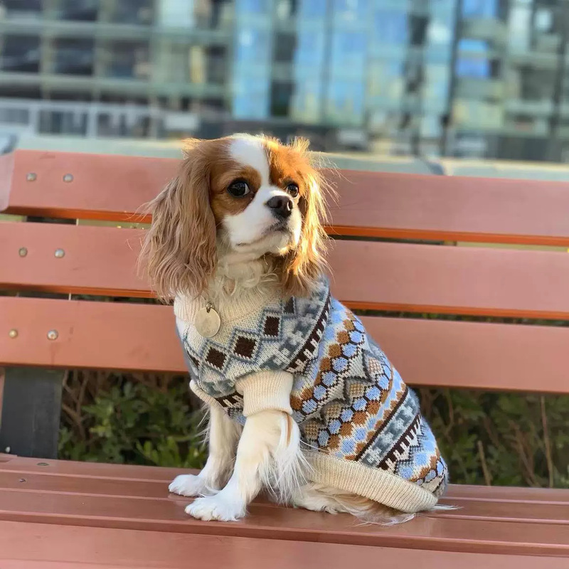 Factory pet clothes two-legged sweater Cat teddy poodle puppy clothes small dog puppy spring and autumn winter clothes