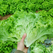 ���������������Ӵ�������������߲��ļ���̨����ˮ���߲�������