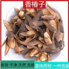 o㴻500gӴѿ仨⻨㴻ӴӴ