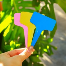 植物标签园艺标签T型兰花花卉标签多肉标识牌防水塑料插地牌批发