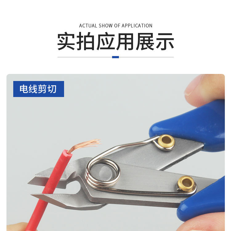 1_12.jpg