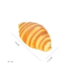 Conch