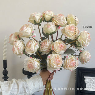 ��ʽ��߅õ���֧���滨��c�ҾӲ廨õ�廨�ٻ������b����l