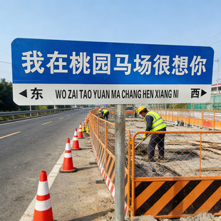 ����·���Ʒ���ָʾ�ƼӺ��X�巴����ʾ�Ƹ��ٹ�·ָʾ�����a�S��